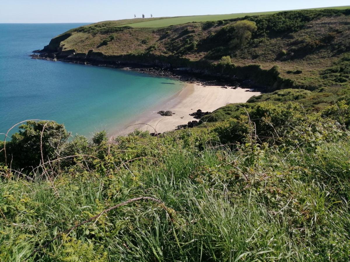 Coldstream Cottage Dale المظهر الخارجي الصورة